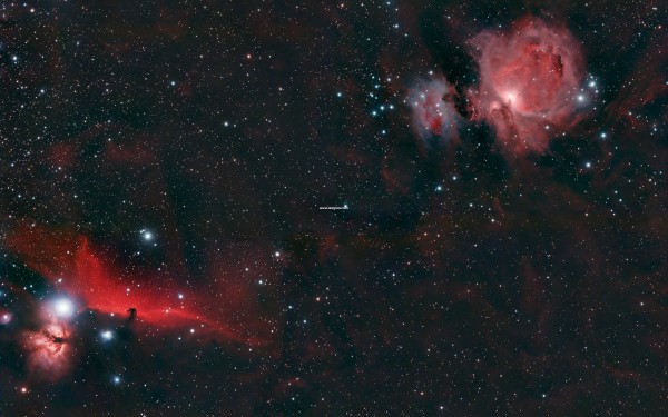 horseheadorion_martin_big-1.jpg