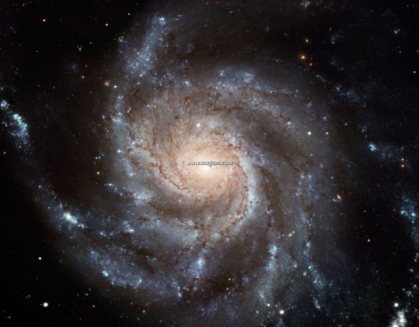 m101_hst_f.jpg