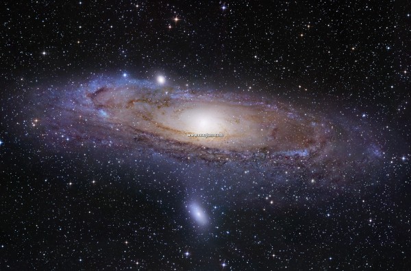 m31_gendler_Nmosaic1.jpg