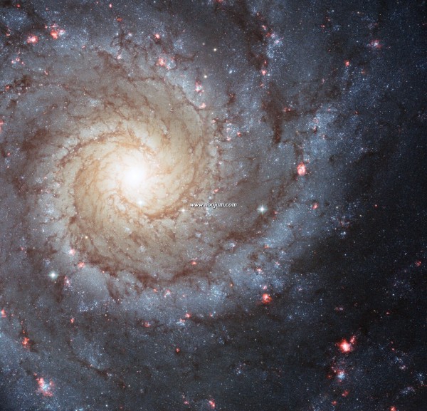 m74_hst.jpg