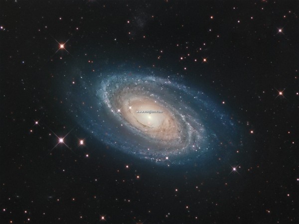 m81_benintende_f.jpg