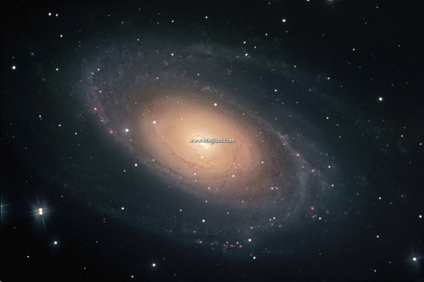 m81_gendler_big.jpg