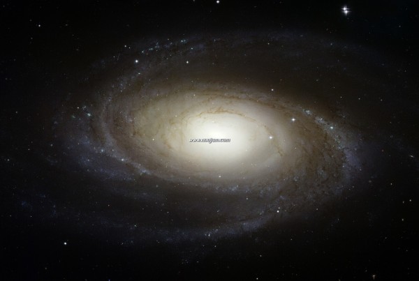 m81_hst_big.jpg