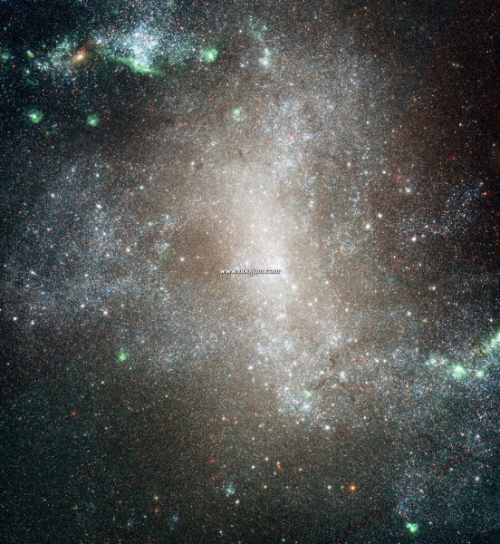 ngc1313_hst.jpg