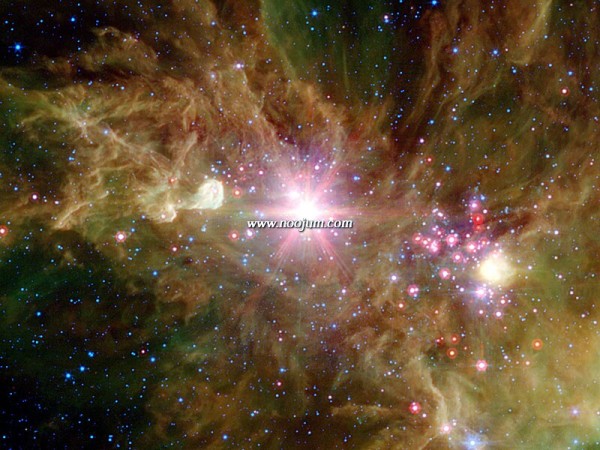 ngc2264_spitzer.jpg