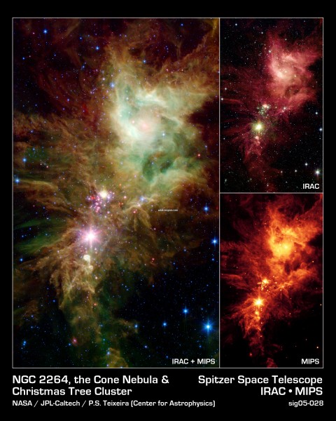 ngc2264_spitzer_big.jpg