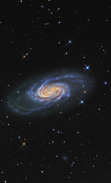 ngc2903_gabany_lg.jpg