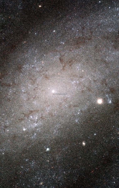 ngc300_hst_full.jpg