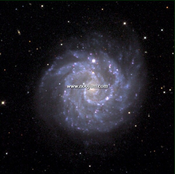 ngc3184_kelly_big.jpg