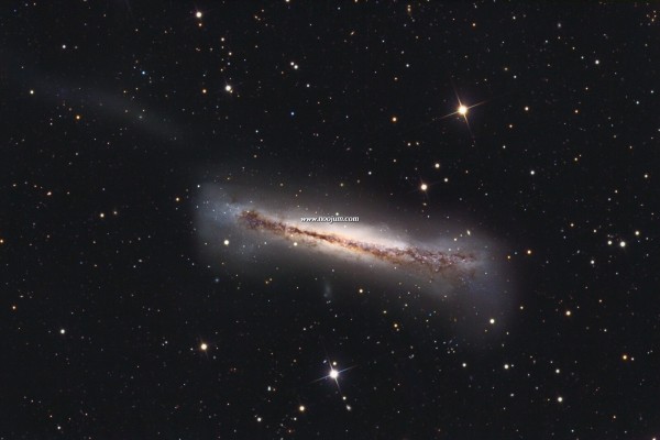 ngc3628_croman_full.jpg