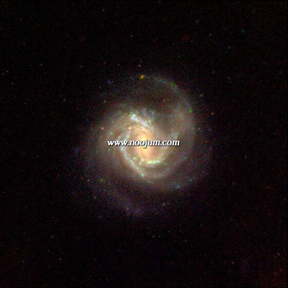 ngc4303_frei_big.jpg