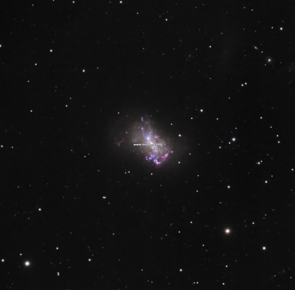 ngc4449_hager.jpg