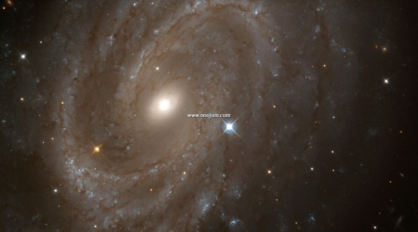 ngc4603_hst_big.jpg