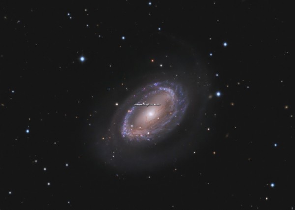 ngc4725F_siniscalchi-1.jpg