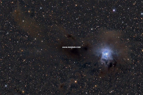 ngc7023_davis_big.jpg