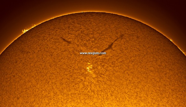 sunspot10982_piepol_big.jpg